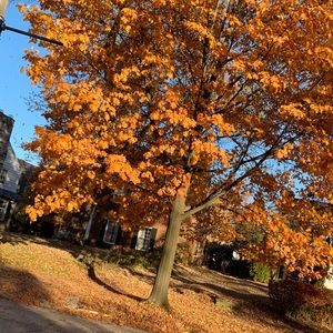 Meet your Posher, Natasha